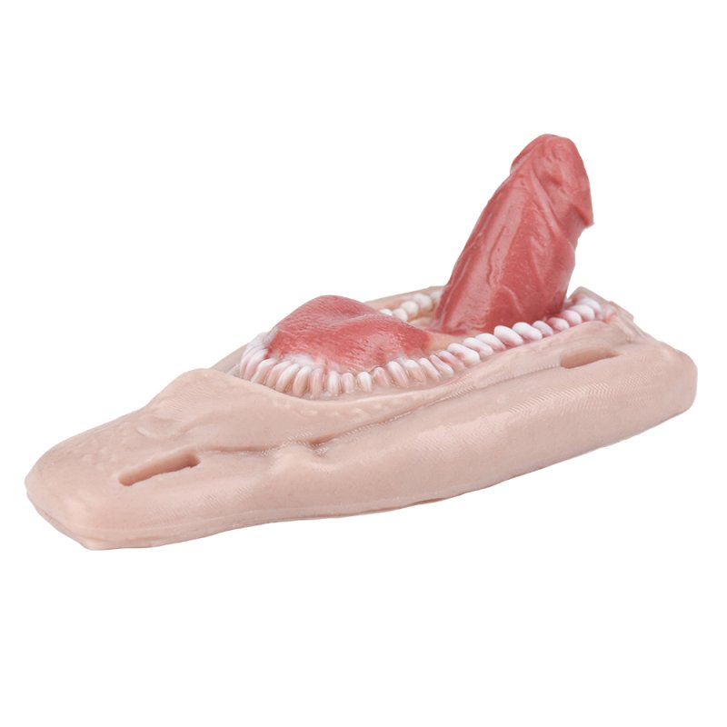 Strap On Dildo Sex Grinder with Teeth